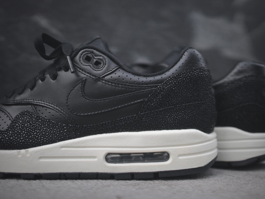 nike air max 1 stingray pack